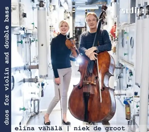 Vähälä groot - vähälä,e./de, groot,n.
