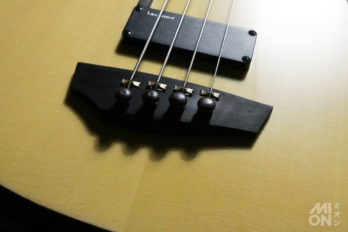 Godin ultra fretless sa - ultra,